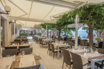 Holiday to Croatia Dalmatian