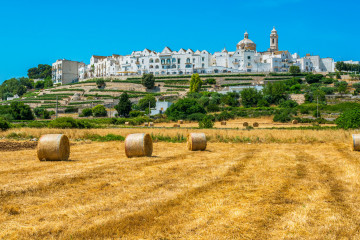 Locorotondo, holidays to Puglia