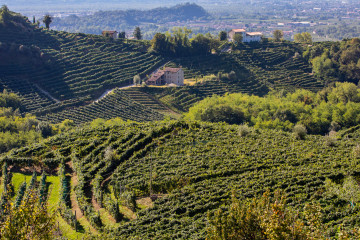 Veneto Vineyards Mistral Holidays, Venetian Riviera Holiday to Italy