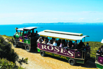 Roses Express Train Holiday