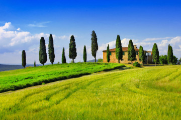 Holidays to Tuscany