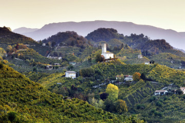 Veneto Vineyards Mistral Holidays, Venetian Riviera Holiday to Italy